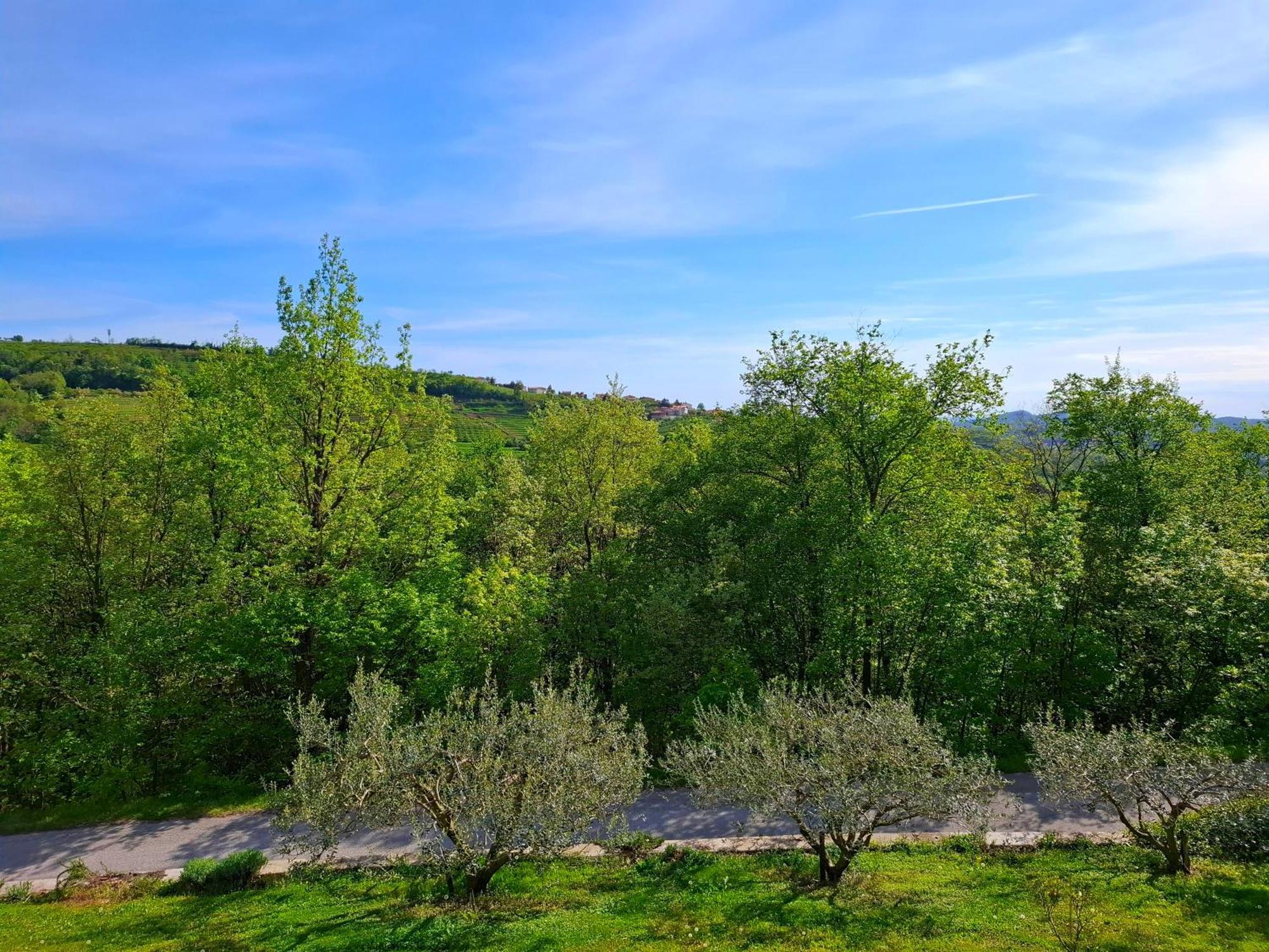 Apartma Lavanda Kojsko Экстерьер фото