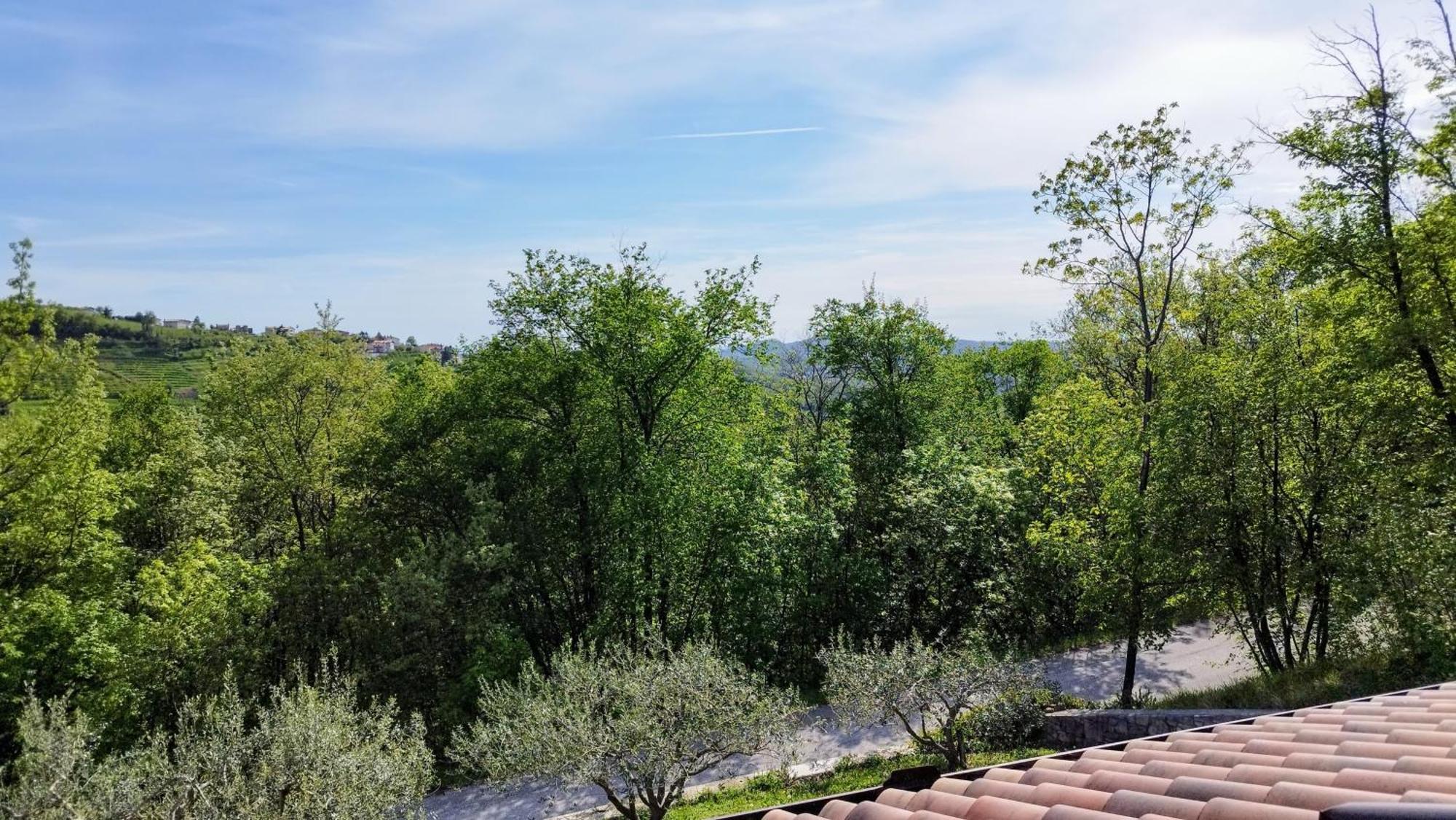Apartma Lavanda Kojsko Экстерьер фото